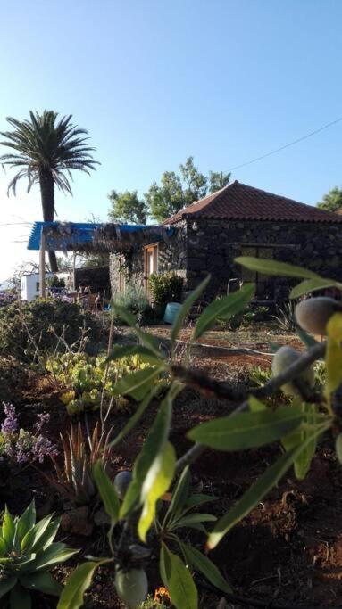 Casita En El Campo Con Vista Al Oceano Villa Tijarafe Bagian luar foto