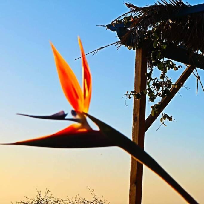 Casita En El Campo Con Vista Al Oceano Villa Tijarafe Bagian luar foto
