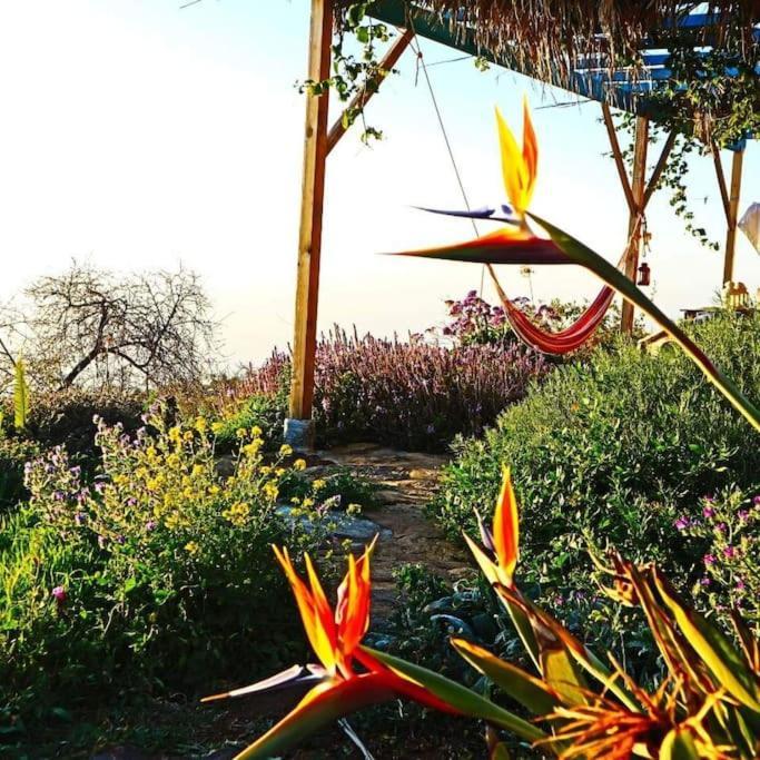 Casita En El Campo Con Vista Al Oceano Villa Tijarafe Bagian luar foto